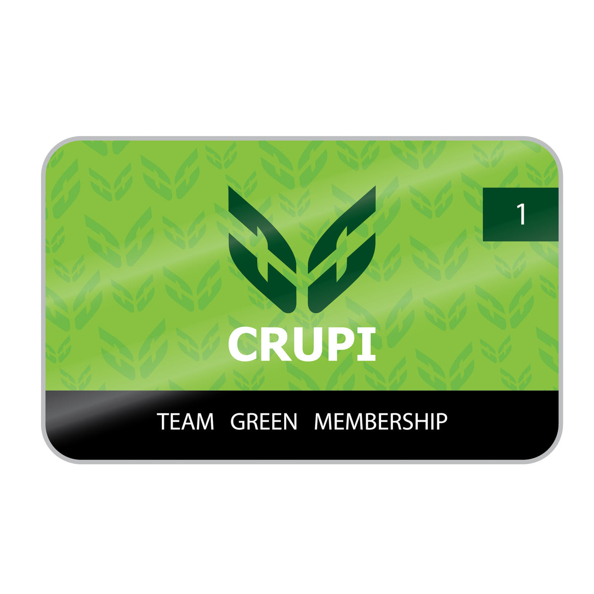 Crupi Team Green for 2017